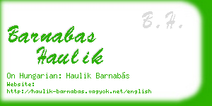 barnabas haulik business card