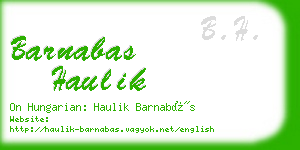 barnabas haulik business card